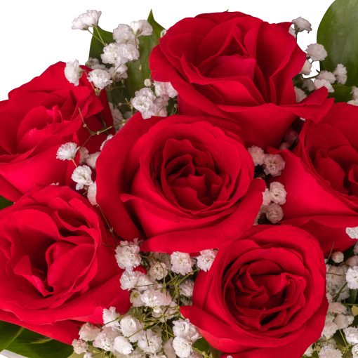 Claire Bouquet - Image 6