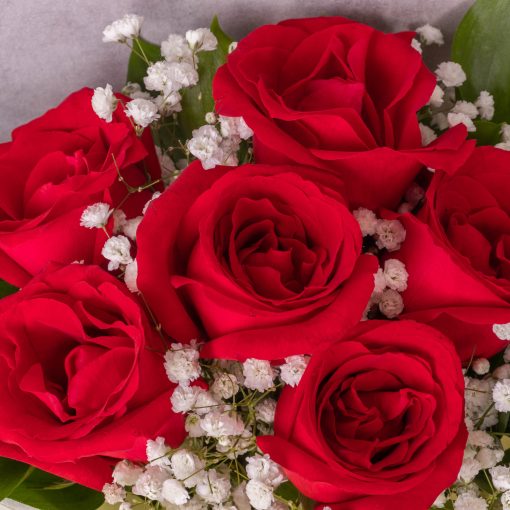 Claire Bouquet - Image 4