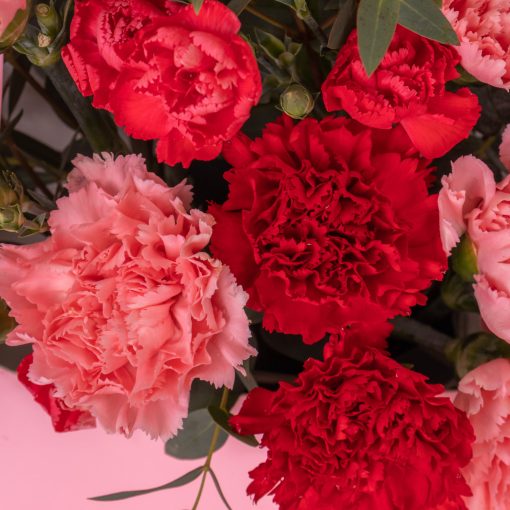 Carnation Bloom Box - Image 3