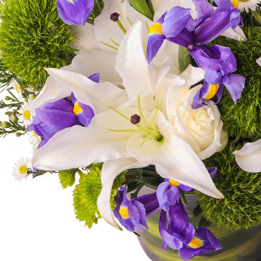 Festive Elegance - Image 2