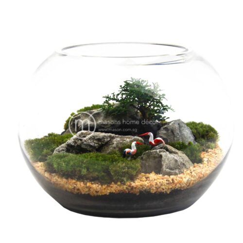 Bultnik Ready Made Terrarium