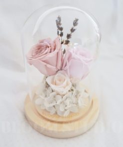 Preserved Flower Dome Cherie 1