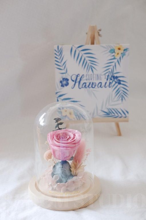 Timeless Grace – Light Pink & White Dome - Image 8
