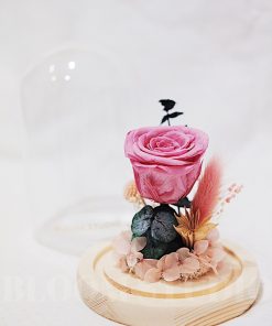 Preserved Flower Dome Eva
