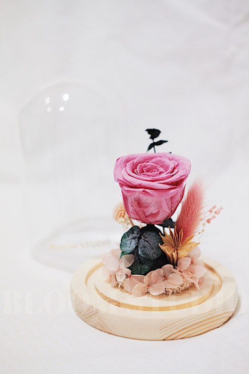 Preserved Flower Dome Eva