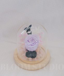 Preserved Flower Dome Vera