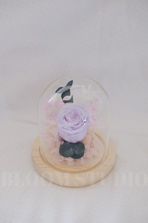 Preserved Flower Dome Vera