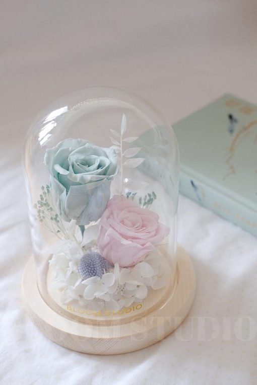 ashlyn preserved flower dome