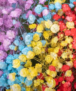 Rainbow Baby's Breath Bloom Box by Farmflorist Close-up