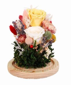 Preserved Flower Dome