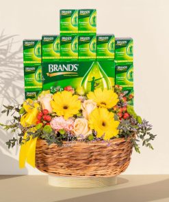 Wellness - Hamper with BRANDS Essence of Chicken