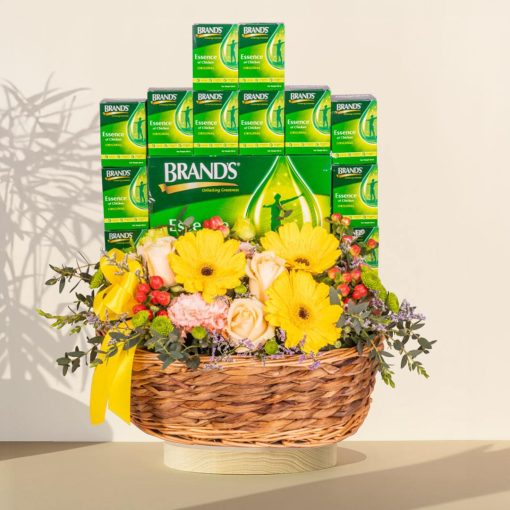 Wellness - Hamper with BRANDS Essence of Chicken