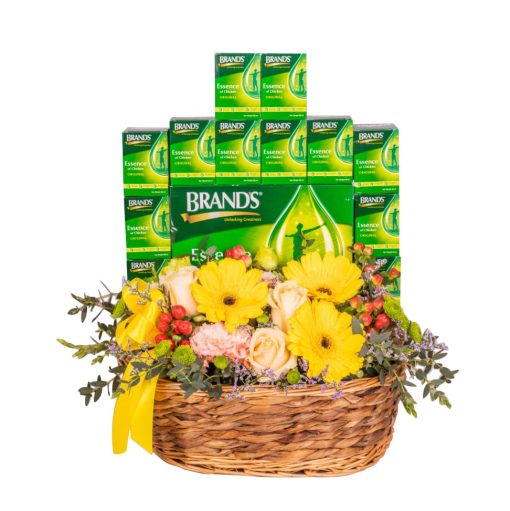 Wellness - Hamper with BRANDS Essence of Chicken - Image 3