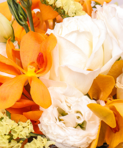 Passionate by Farm Florist