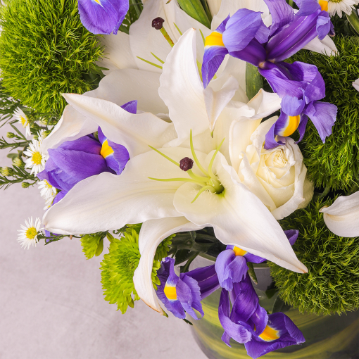 My hero by farmflorist