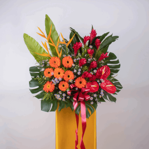 Splendid Magnificence - Image 4