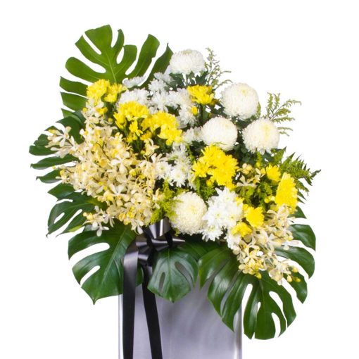 Condolence and Comfort - Image 2