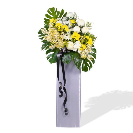 Condolence and Comfort