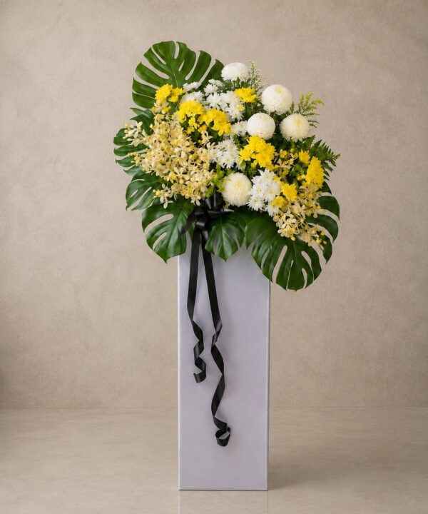 Condolence and Comfort