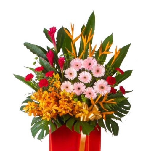 Dazzling Blessings - Image 2