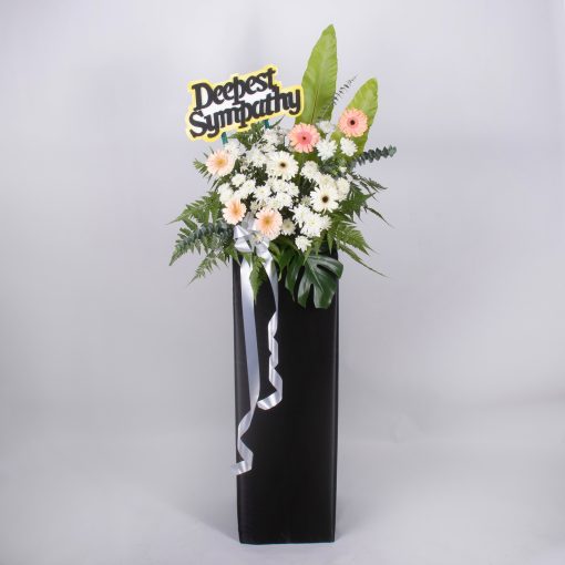Sincere Consolation - Image 3