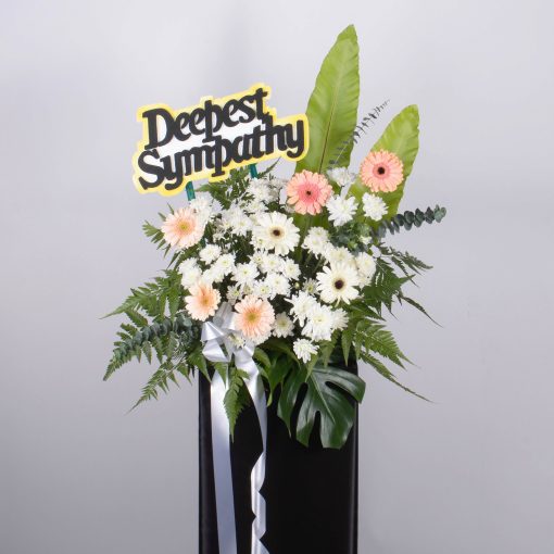 Sincere Consolation - Image 4