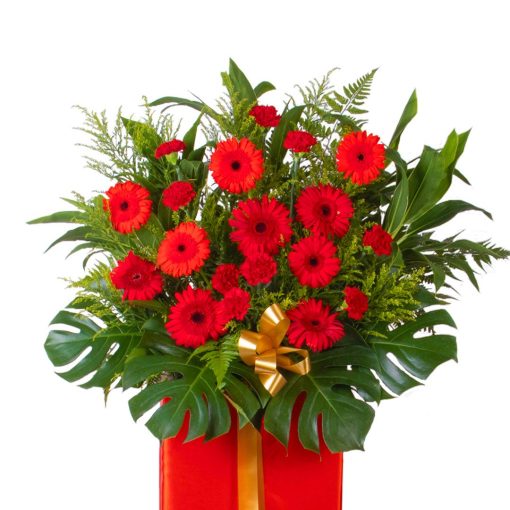 Prosperous Beginnings - Image 3
