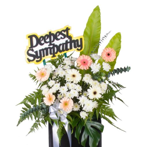 Sincere Consolation - Image 2