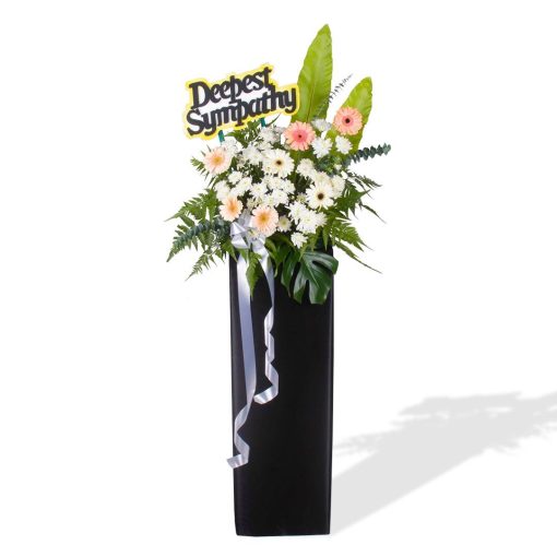 Sincere Consolation