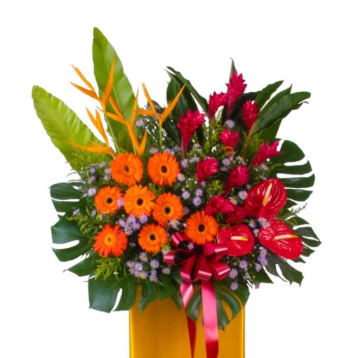 Splendid Magnificence - Image 2