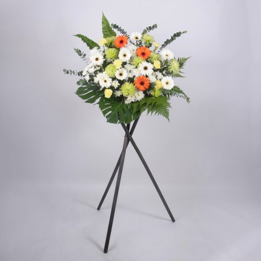 Tender Sincerity - Image 5