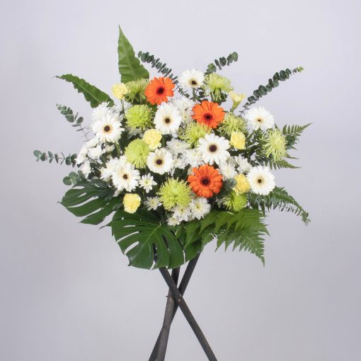 Tender Sincerity - Image 6