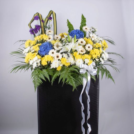Compassion and Benevolence - Image 4