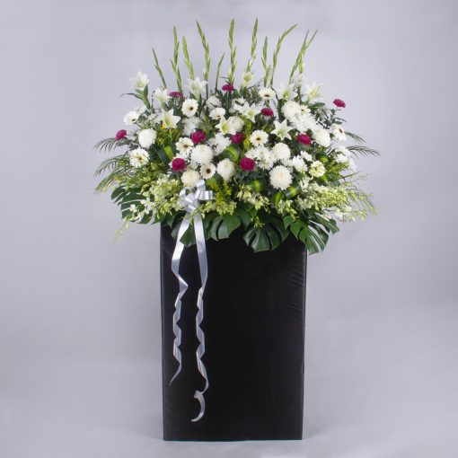 Compassion and Benevolence - Image 7