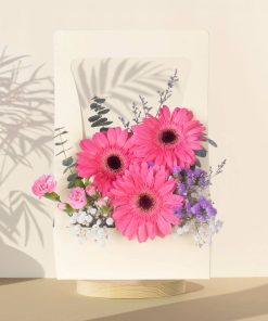 Frieda Bloom Box