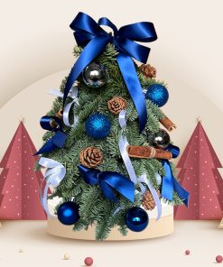 Pine Bliss Mini Live Christmas Tree