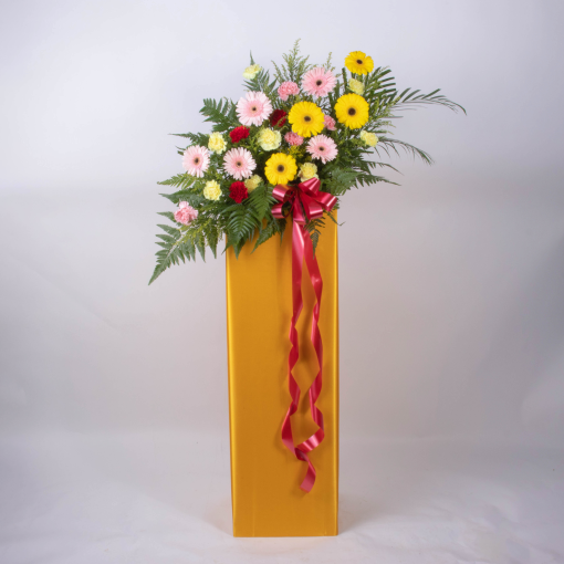 Rejoice With Cheers - Image 10