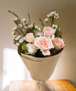 Blush Radiance