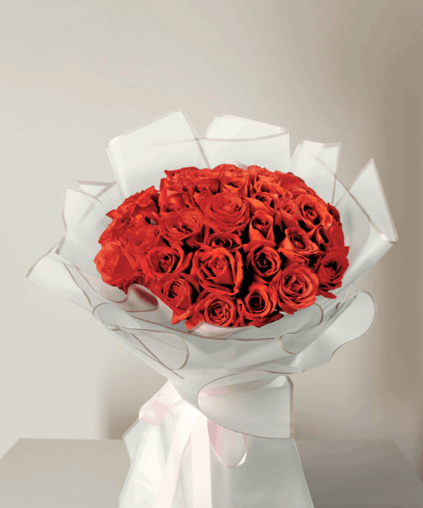 Dream - 50 Fresh and Juicy Roses Bouquet - V DAY 2026