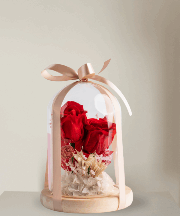 Eternal Love – Red Rose Dome