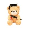Graduation Premium Teddy Bear