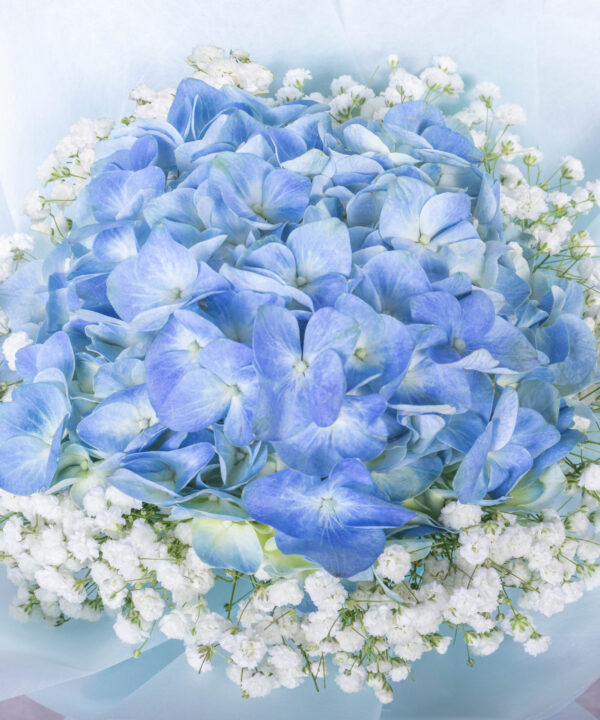 Hydrangea Bouquet by Farmflorist Close-up