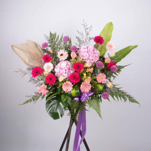 Amazing Radiance - Image 12