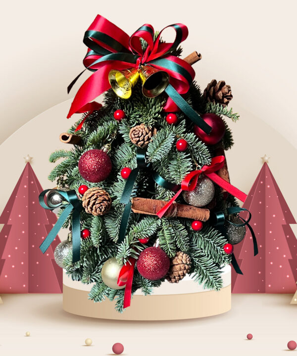 Jolly Joy Mini Live Christmas Tree