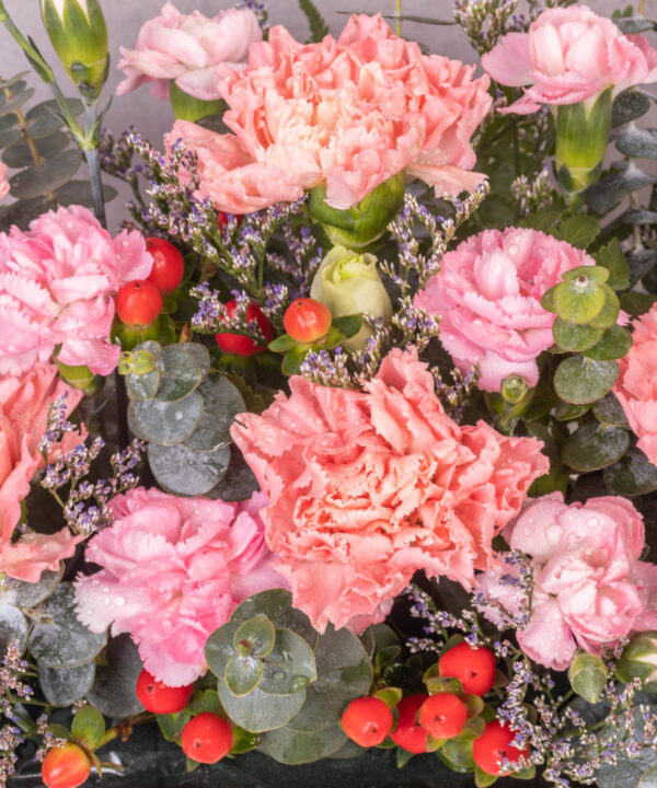 Nurturing Love by farmflorist close up