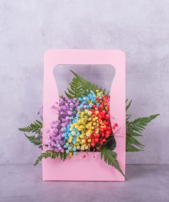 Rainbow Baby's Breath Bloom Box