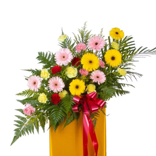 Rejoice With Cheers - Image 9