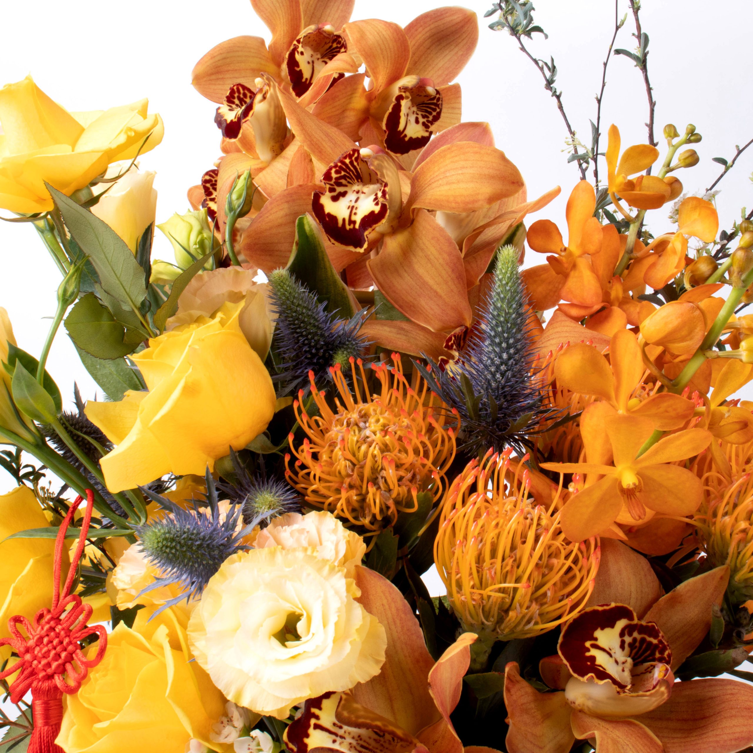 Roaring New Year - Image 2