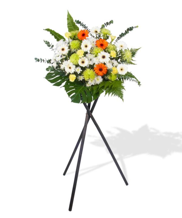 Special Remembrance