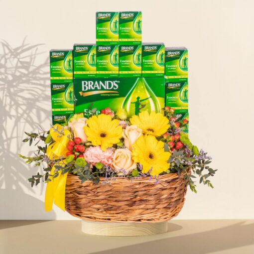 Wellness - Hamper with BRANDS Essence of Chicken